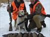 Ivy's First Pheasants